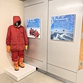 IMG_5984.jpeg