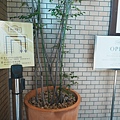 DSC04612.jpeg