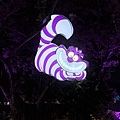 IMG_3411.jpeg