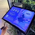 IMG_3350.jpeg
