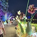 IMG_3370.jpeg