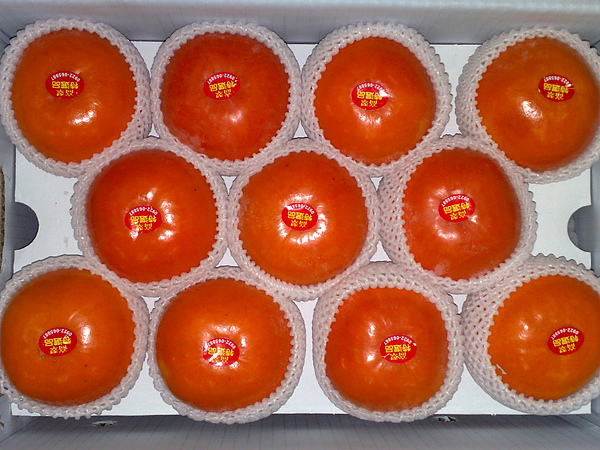 特選甜柿 (3).jpg