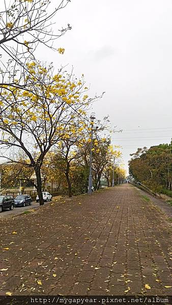 P_20170317_145519_HDR.jpg