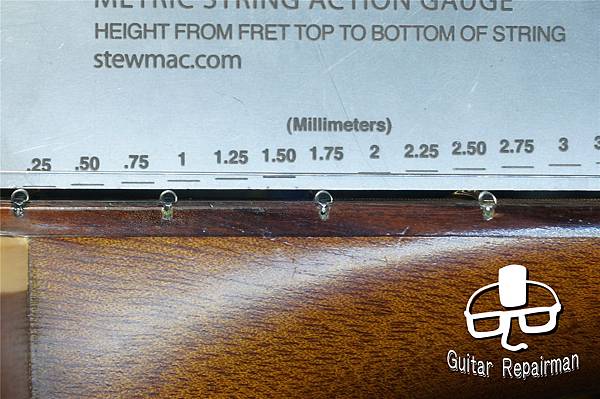 【Maton】{Refret}{重製牛骨上下枕} EBG-8