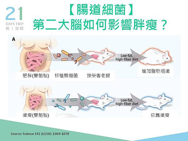 投影片17