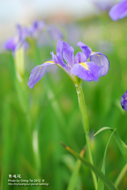 DSC_1192 DSC_1192