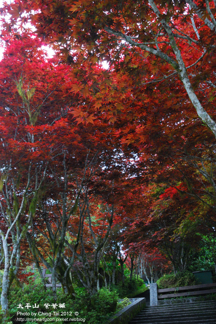 DSC_2043 DSC_2043