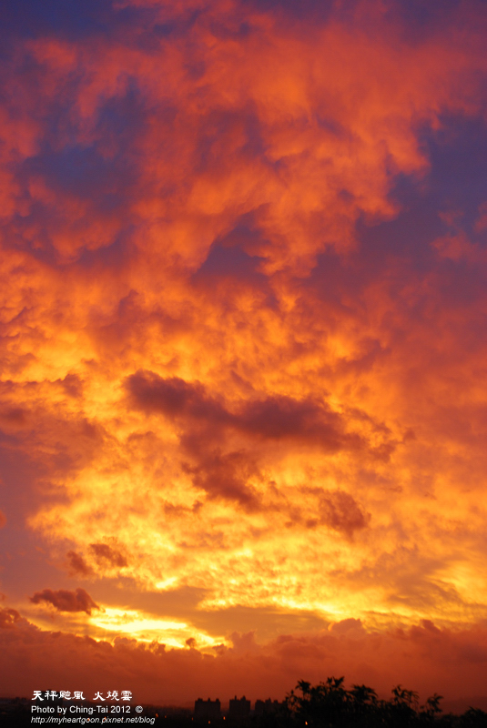 DSC_7623 DSC_7623