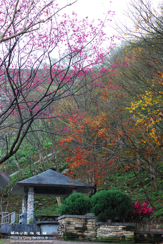 DSC_9184 DSC_9184