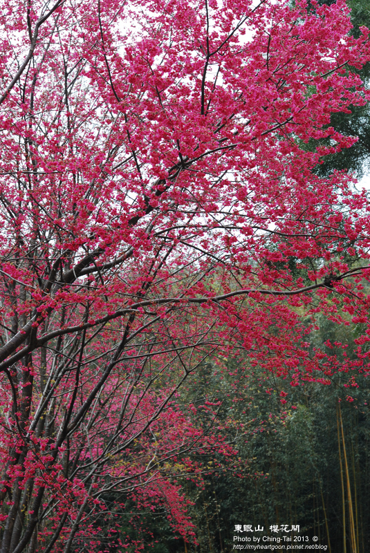 DSC_0036 DSC_0036
