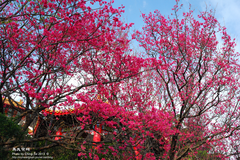 DSC_0336 DSC_0336