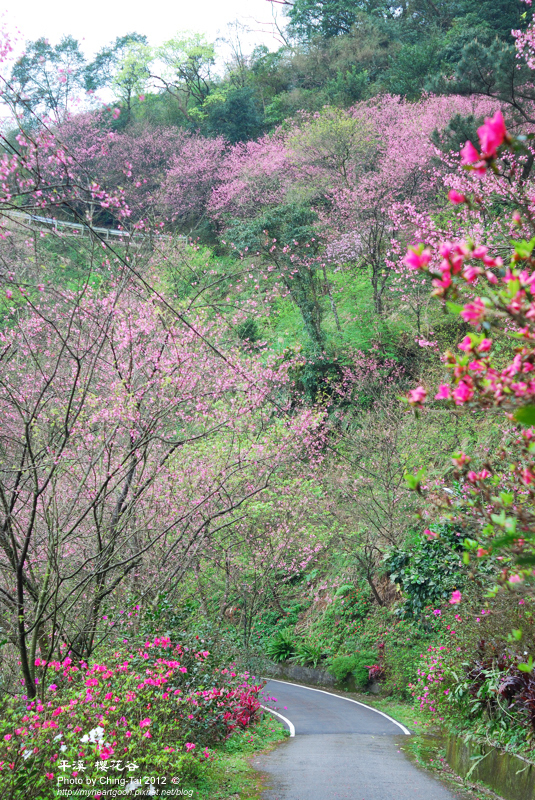 DSC_6236 DSC_6236