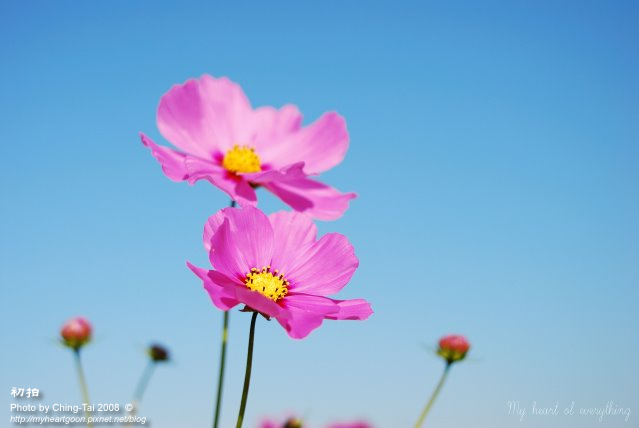 DSC_0031 DSC_0031