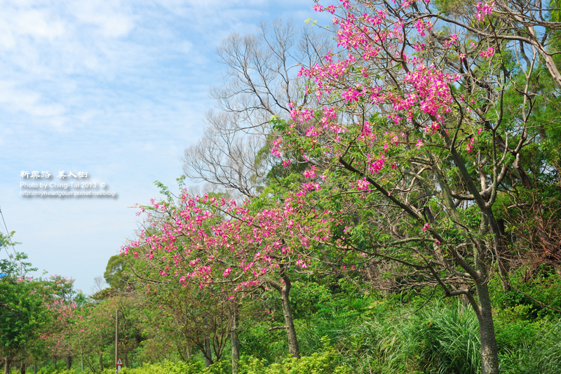 DSC_5221.jpg DSC_5221.jpg
