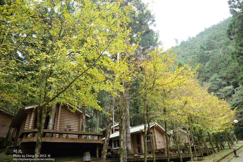 TAI_1027.jpg TAI_1027.jpg