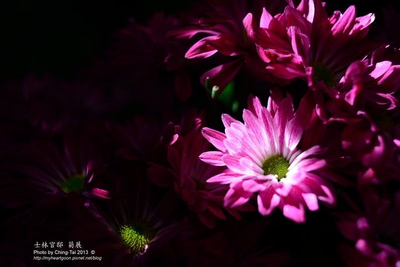 TAI_1218.jpg TAI_1218.jpg