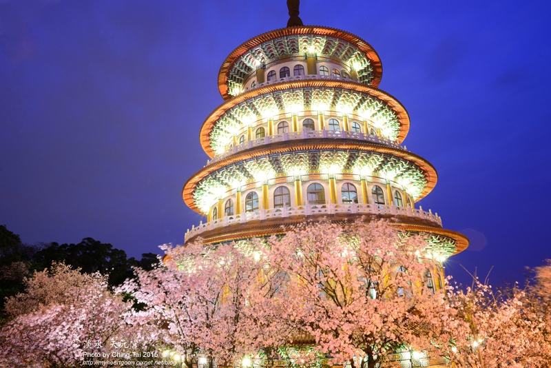 TAI_9192.jpg TAI_9192.jpg