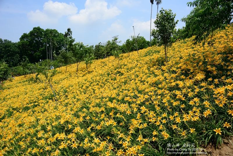 TAI_0308.jpg TAI_0308.jpg