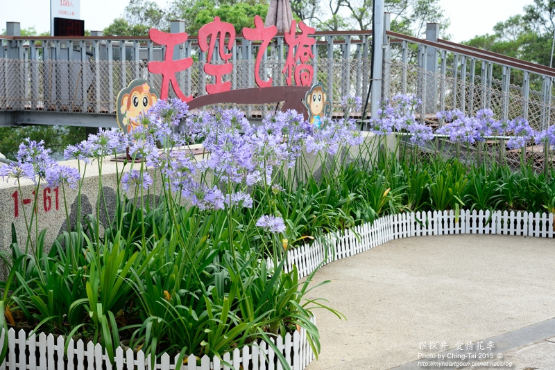 TAI_0407.jpg TAI_0407.jpg
