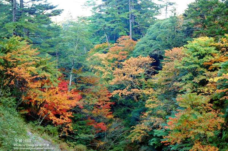 DSC_0777.jpg DSC_0777.jpg