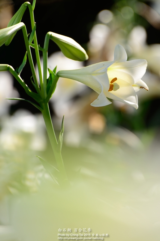 TAI_0748.jpg TAI_0748.jpg