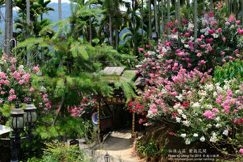 TAI_3102.jpg TAI_3102.jpg