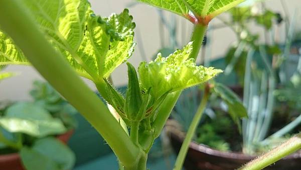 6313378303622035058 6313378303622035058