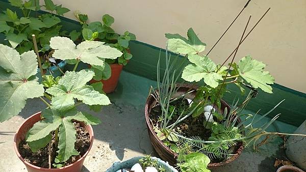 6313378304346583922 6313378304346583922