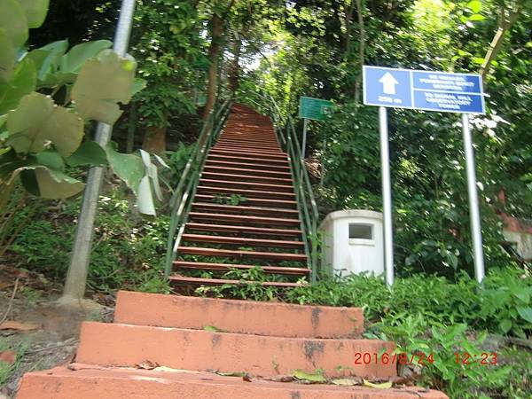 6380552623469662898 6380552623469662898