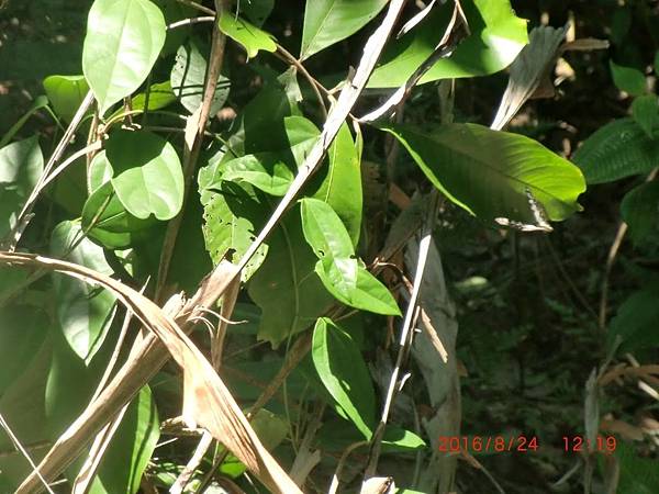 6380552626710824210 6380552626710824210