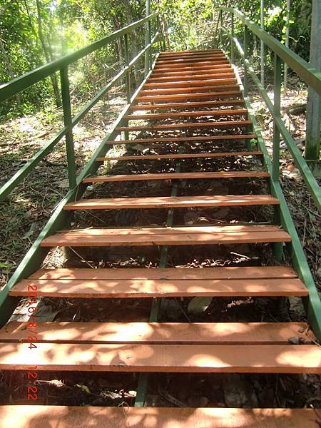 6380552623970032802 6380552623970032802