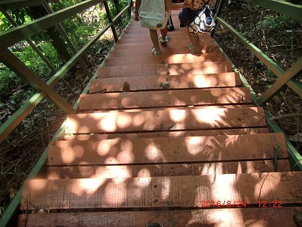 6380552624440133218 6380552624440133218