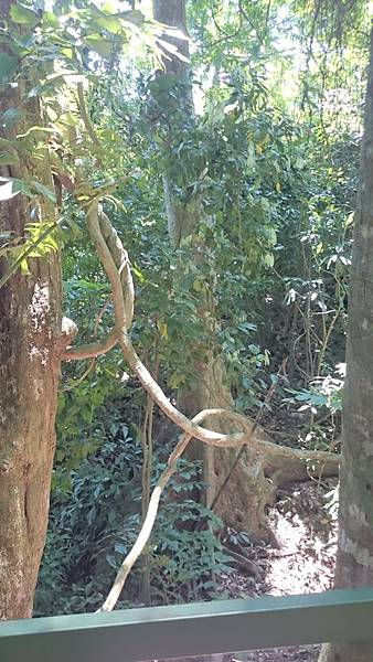 6322730925073509090 6322730925073509090