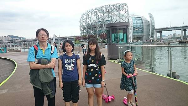 6577907315513891922.JPG 6577907315513891922.JPG