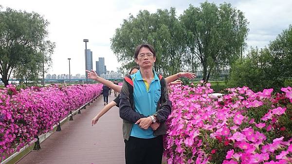 6577907316552117282.JPG 6577907316552117282.JPG