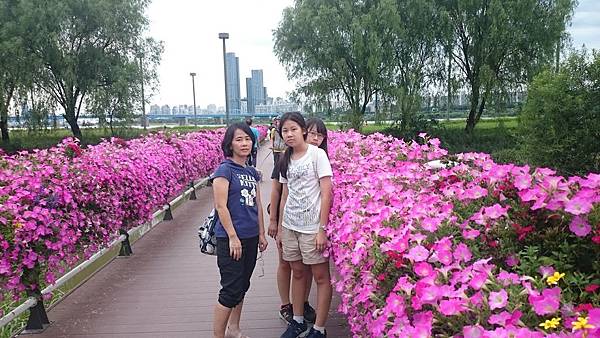 6577907317192344562.JPG 6577907317192344562.JPG