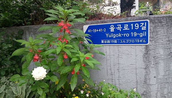 6583475527851278738.jpg 6583475527851278738.jpg