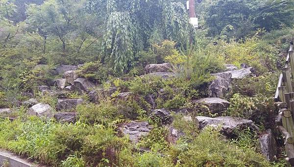 6583475528445498242.jpg 6583475528445498242.jpg