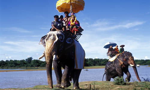 TAT-Surin-Elephant-Ordain_01-500x300.jpg