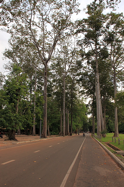 前往Angkor Thom大吳哥城的路上