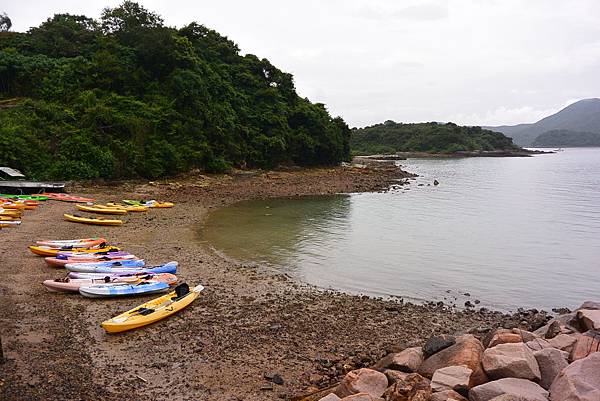 DSC_1346.JPG DSC_1346.JPG
