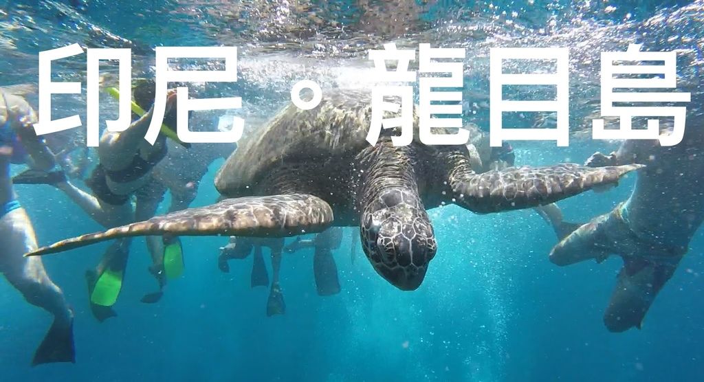 GPTempDownload.jpg GPTempDownload.jpg