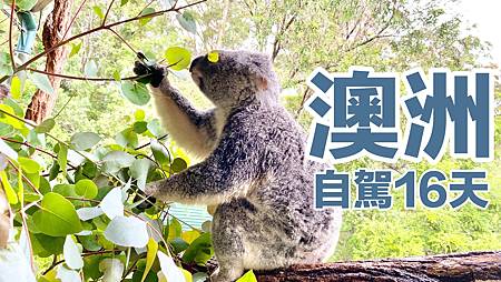 IMG_4277.jpg IMG_4277.jpg