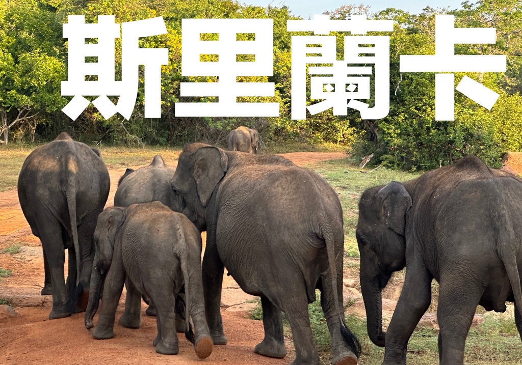 IMG_7930.jpg IMG_7930.jpg