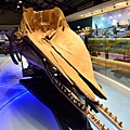 TR1576.JPG