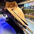 TR1577.JPG