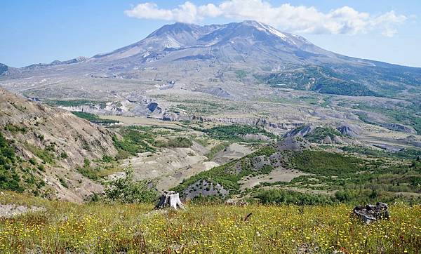 聖海倫火山國家紀念保護區Mount St. Helens V