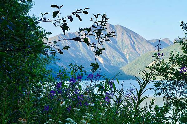 聖海倫火山國家紀念保護區Mount St. Helens V