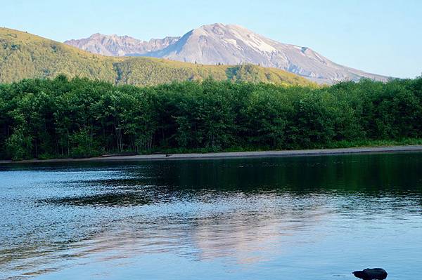 聖海倫火山國家紀念保護區Mount St. Helens V