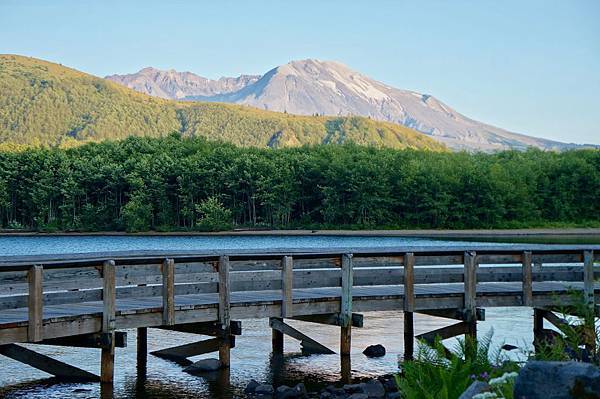 聖海倫火山國家紀念保護區Mount St. Helens V